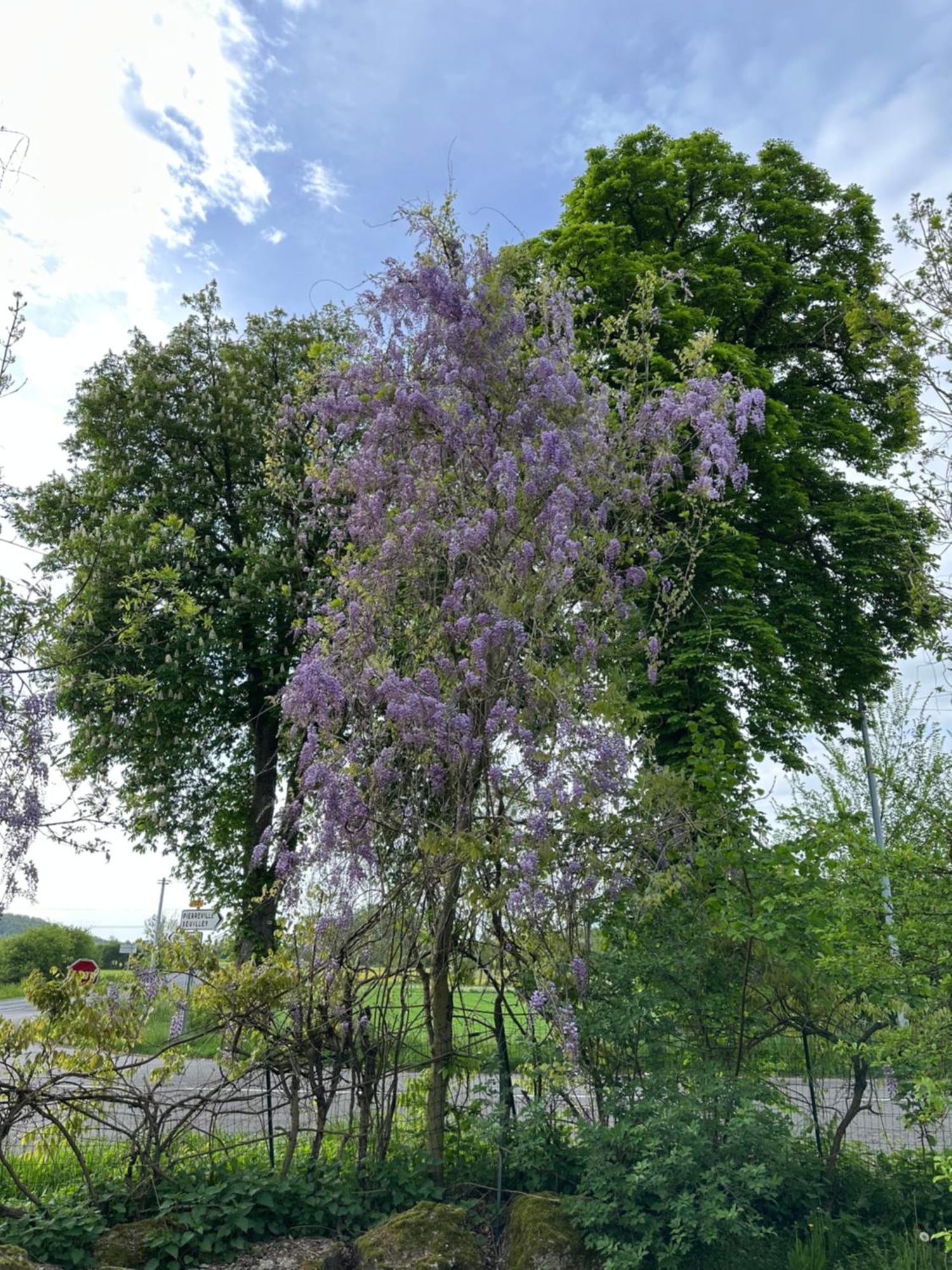 Riviere Et Jardin A Vos Pieds Apartment Pulligny Bagian luar foto